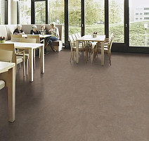 Forbo Marmoleum Decibel on Order 324635 shrike фото 2 | FLOORDEALER